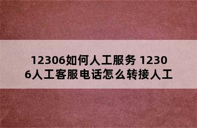 12306如何人工服务 12306人工客服电话怎么转接人工